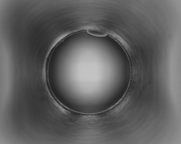 X0000112000902200908101319