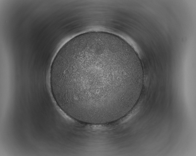 X0000112000903200908101319