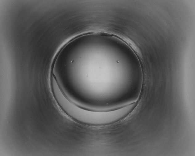 X0000112000904200908101319