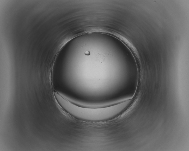 X0000112000905200908101319