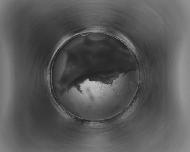 X0000112000907200908101319