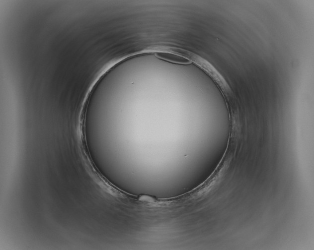 X0000112000908200908101319