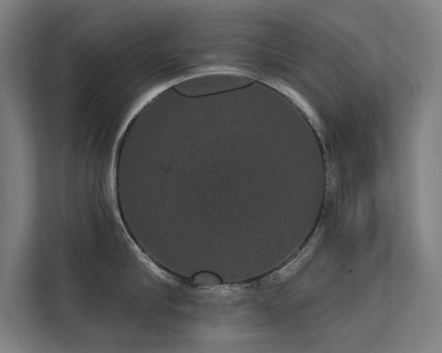 X0000112000910200908101319