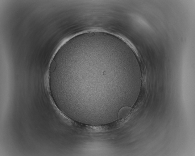 X0000112000911200908101319