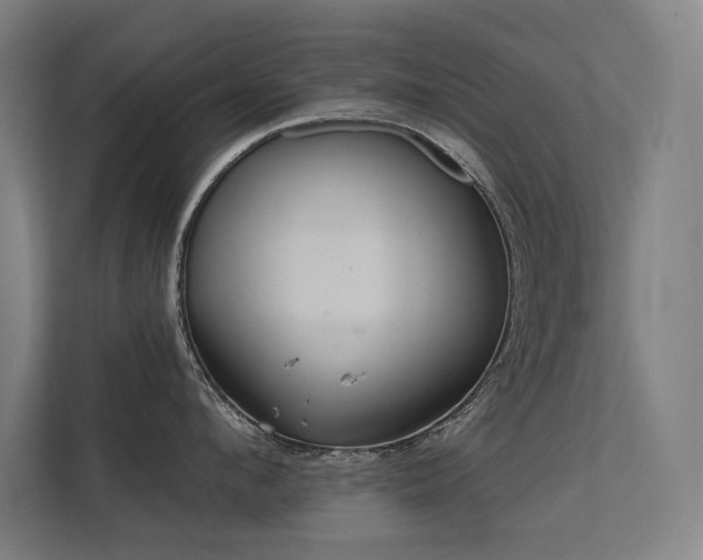 X0000112000912200908101319