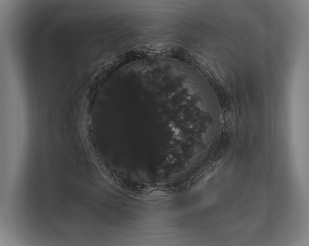 X0000112000913200908101319