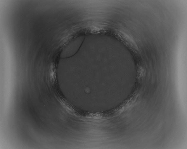 X0000112000914200908101319