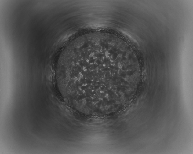 X0000112000917200908101319