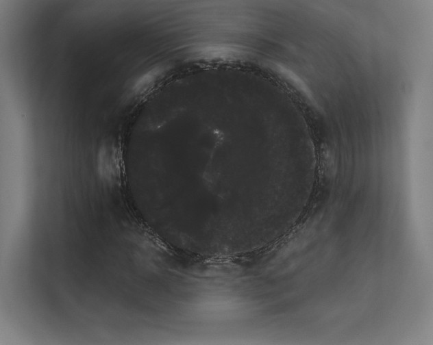 X0000112000918200908101319