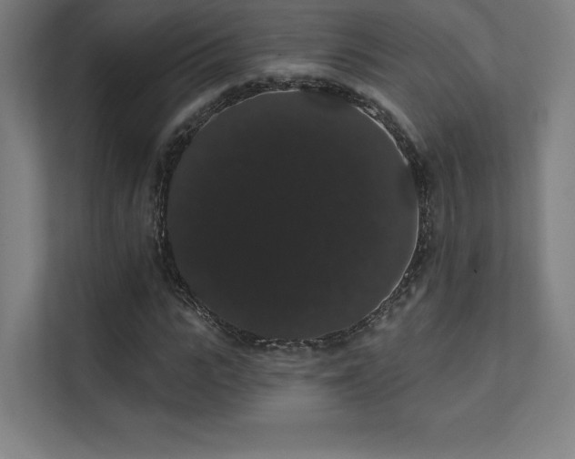 X0000112000919200908101319