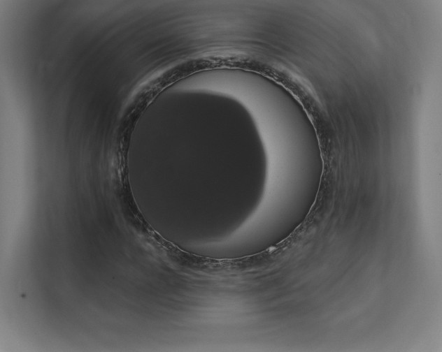 X0000112000920200908101319