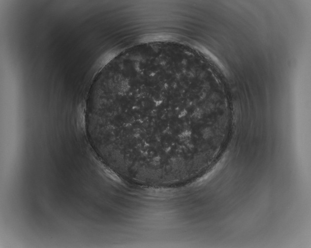 X0000112000921200908101319