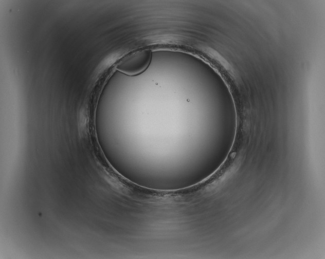 X0000112000922200908101319