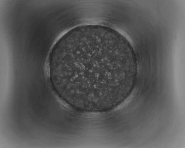 X0000112000925200908101319