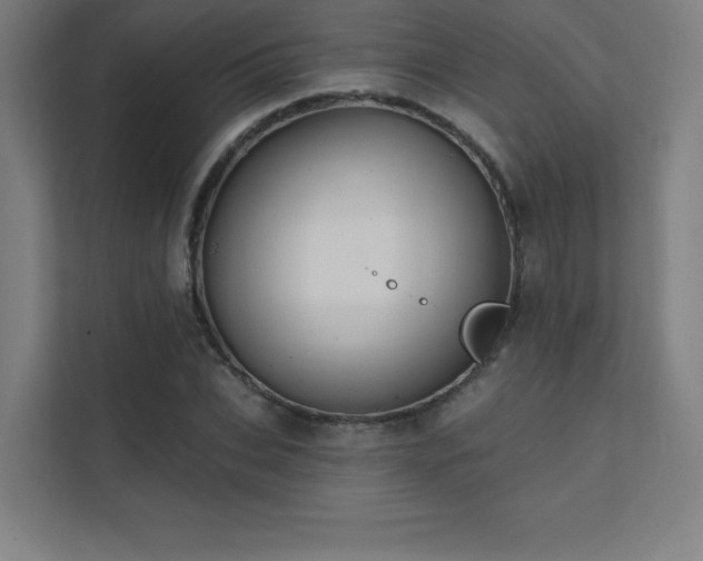 X0000112000927200908101319