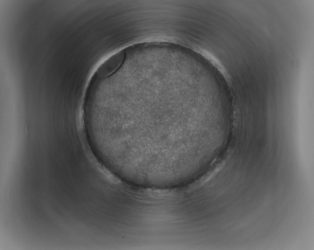 X0000112000928200908101319