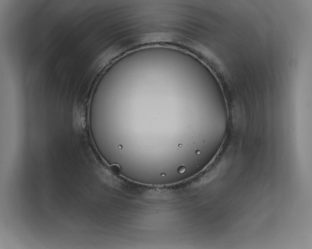 X0000112000929200908101319