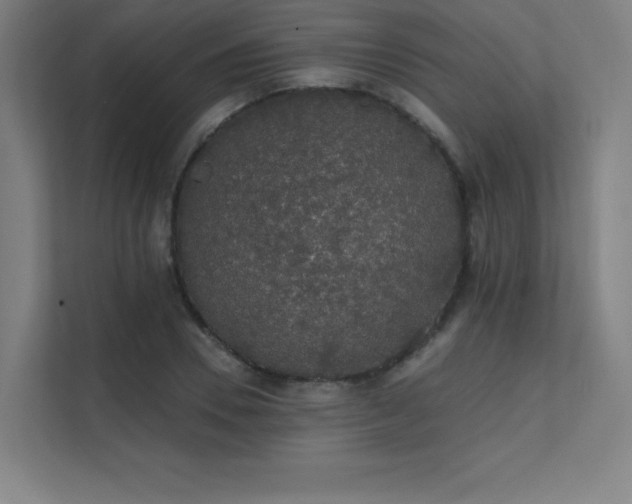 X0000112000930200908101319