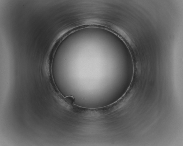 X0000112000931200908101319