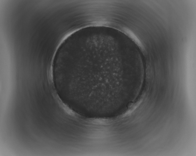 X0000112000932200908101319