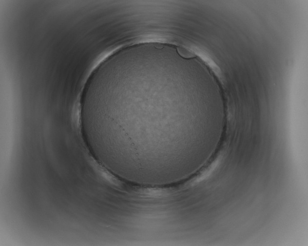 X0000112000933200908101319