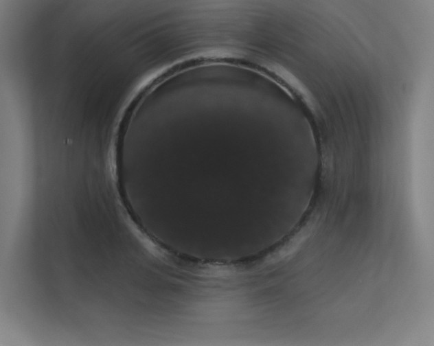 X0000112000935200908101319