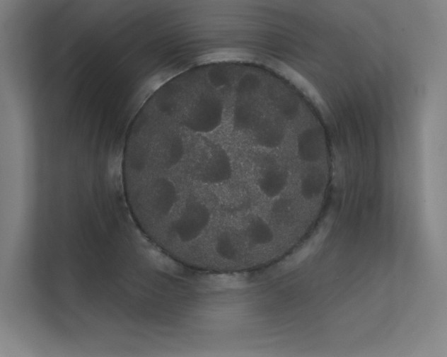 X0000112000937200908101319