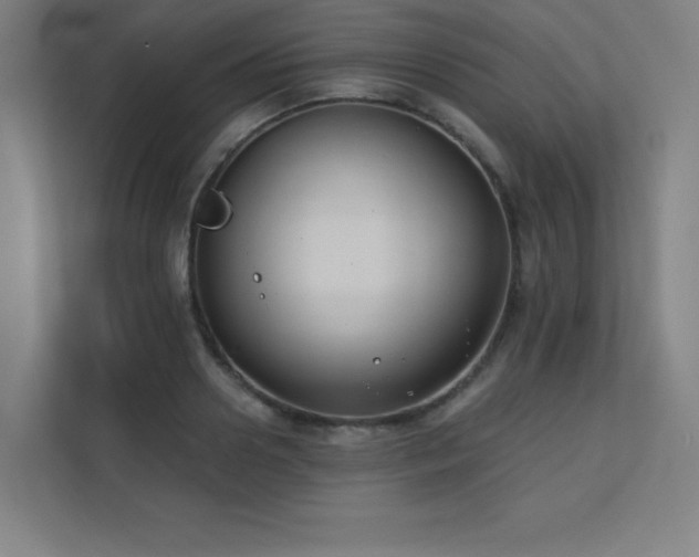 X0000112000938200908101319