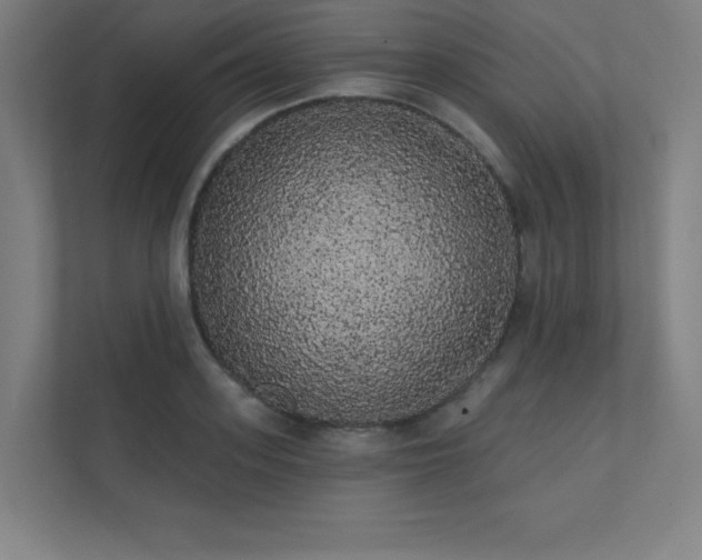 X0000112000939200908101319