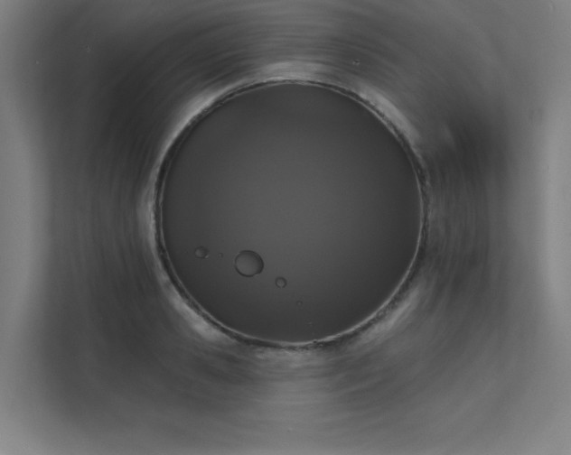 X0000112000941200908101319