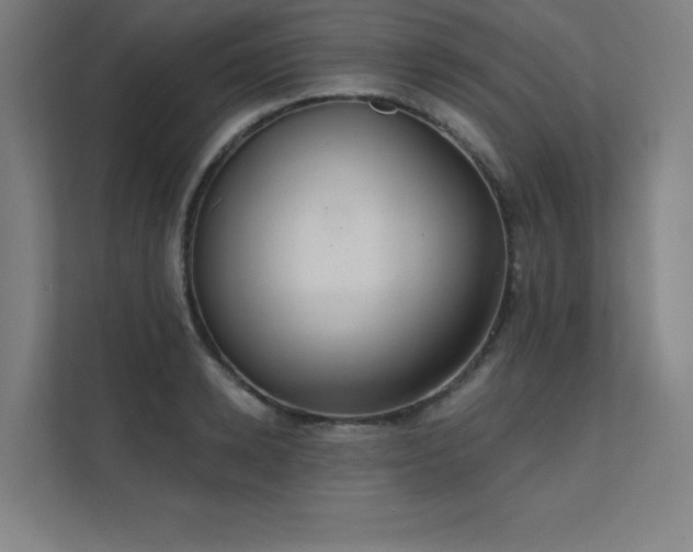 X0000112000942200908101319