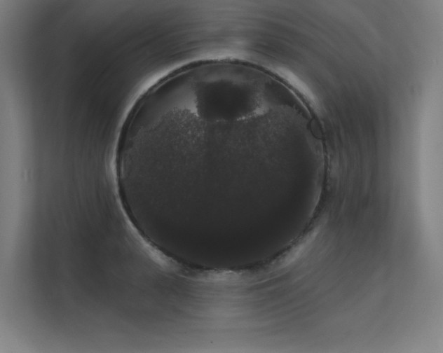 X0000112000943200908101319