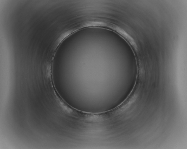 X0000112000945200908101319