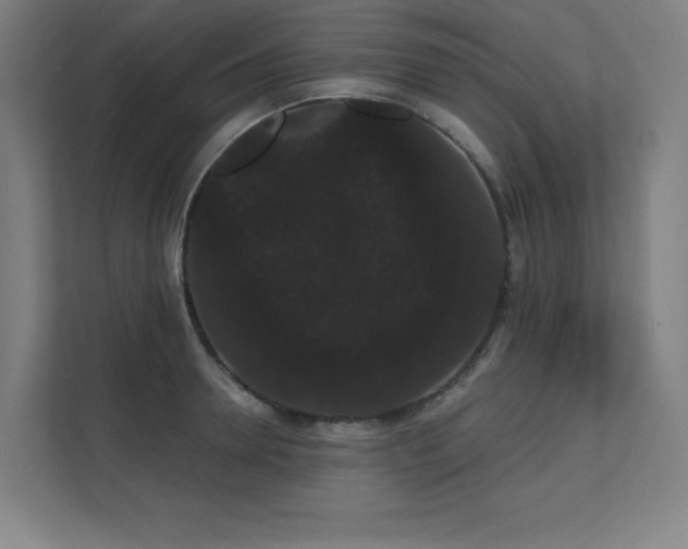 X0000112000946200908101319