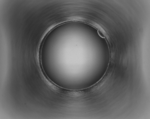 X0000112000947200908101319