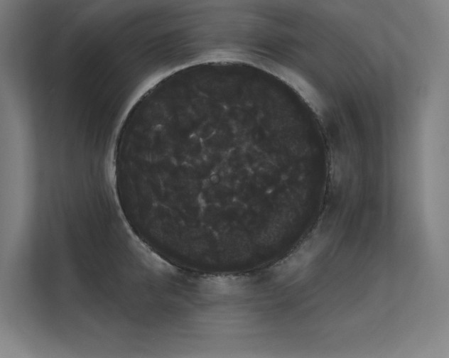 X0000112000950200908101319