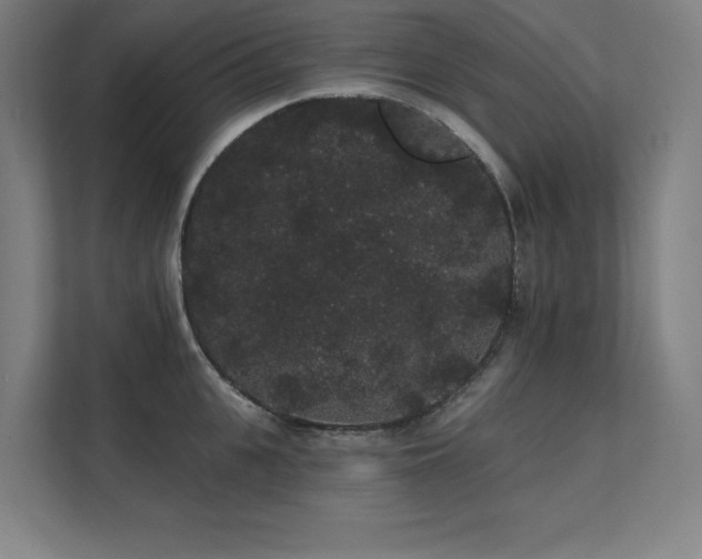 X0000112000951200908101319