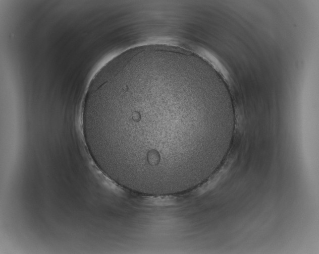 X0000112000952200908101319