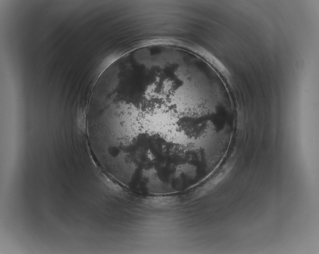 X0000112000953200908101319