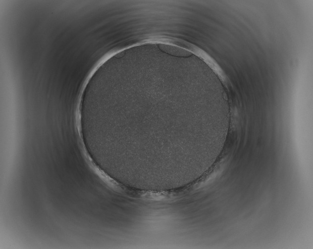 X0000112000955200908101319