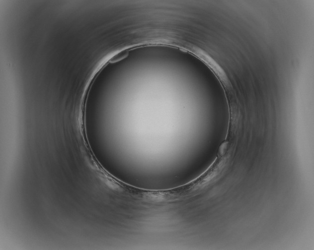 X0000112000956200908101319