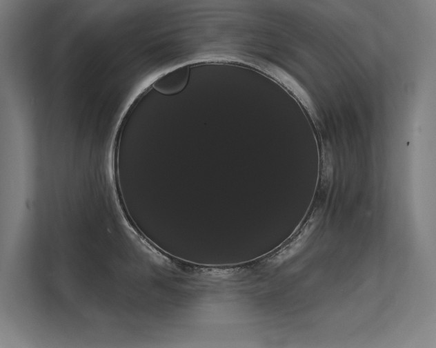 X0000112000958200908101319