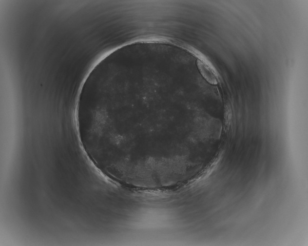 X0000112000959200908101319