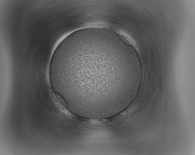 X0000112000960200908101319