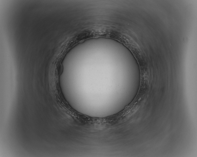 X0000112000961200908101319