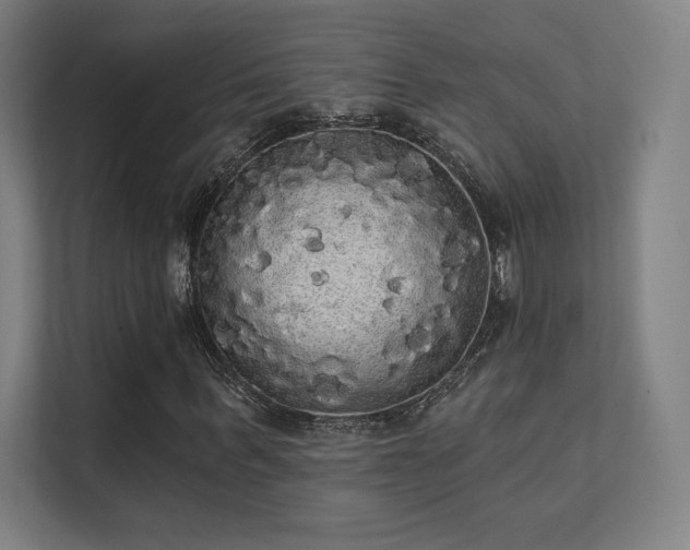 X0000112000963200908101319