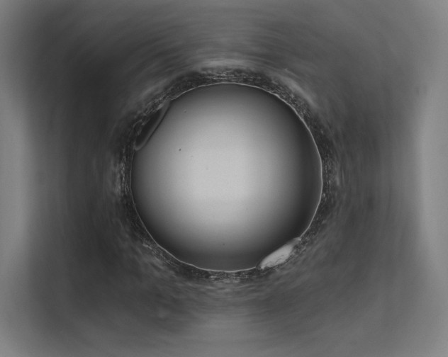 X0000112000965200908101319