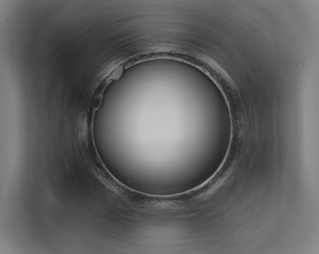 X0000112000969200908101319