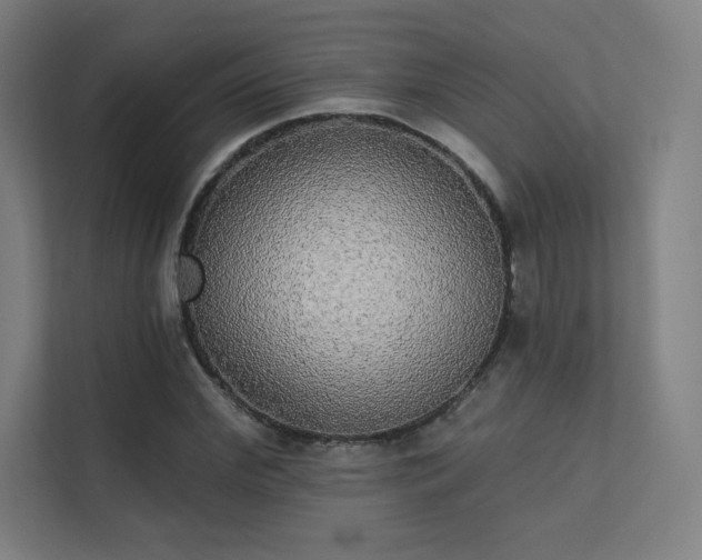 X0000112000972200908101319