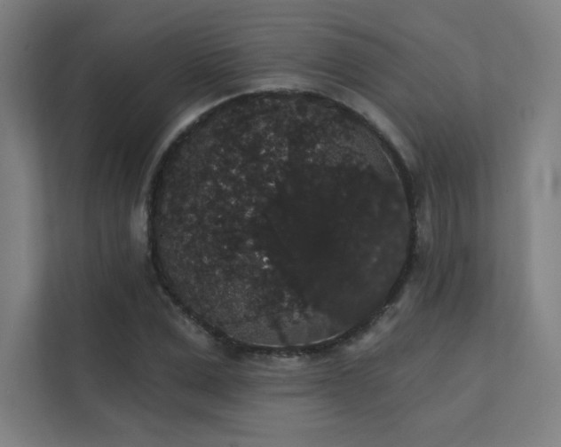 X0000112000975200908101319